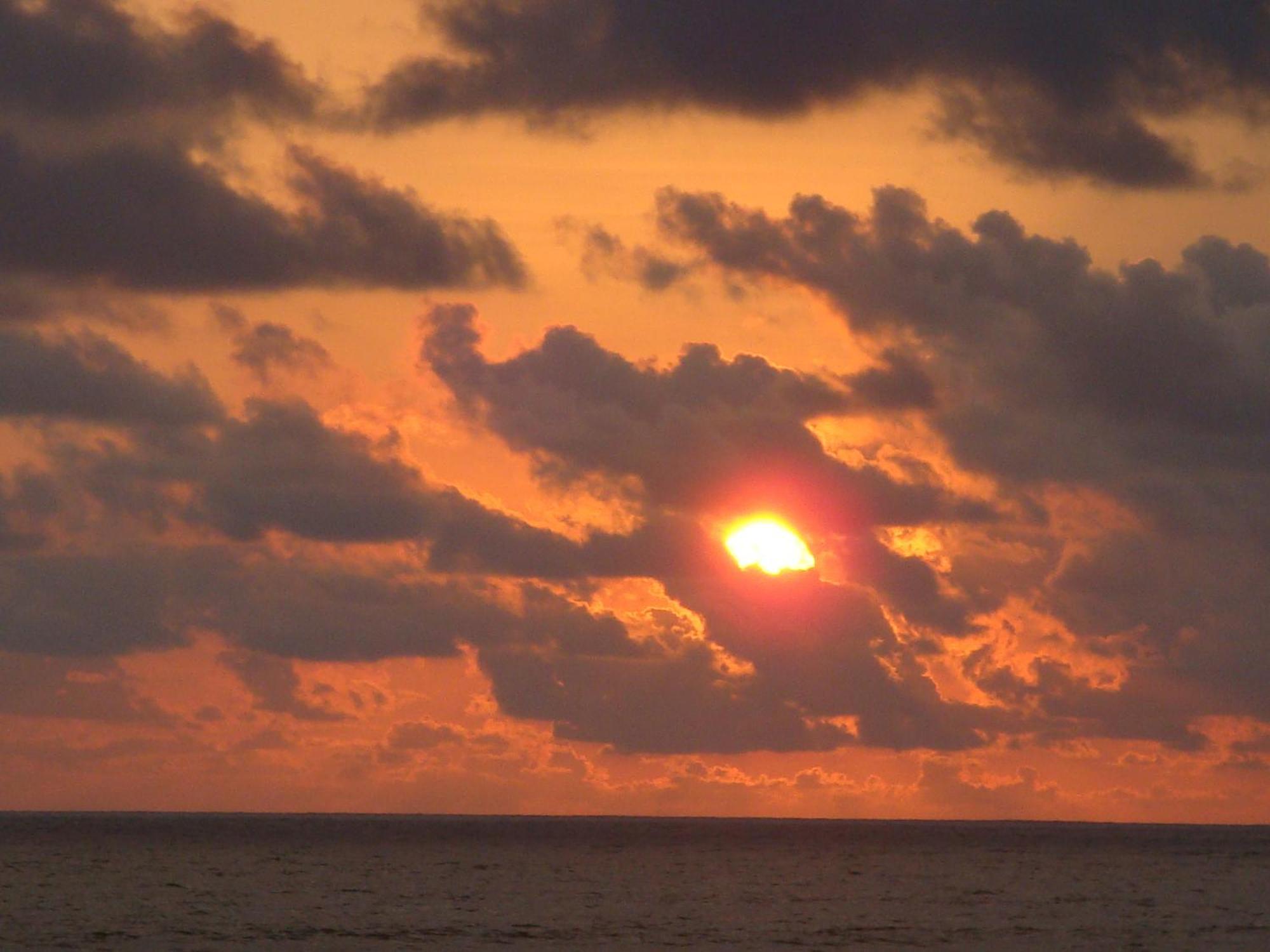 Drakes Bay Isla Violin Eco-Lodge מראה חיצוני תמונה