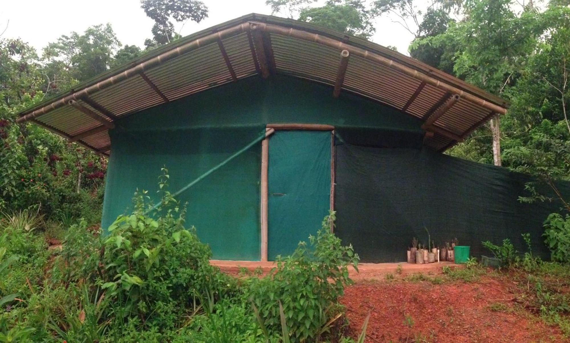 Drakes Bay Isla Violin Eco-Lodge חדר תמונה