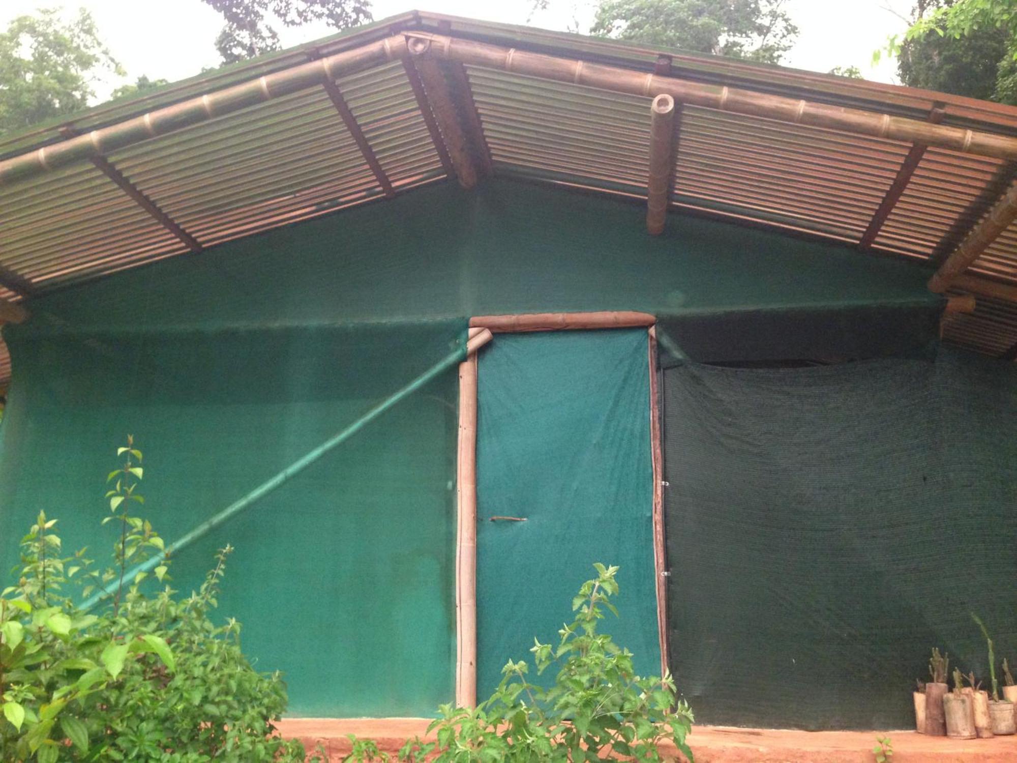 Drakes Bay Isla Violin Eco-Lodge חדר תמונה